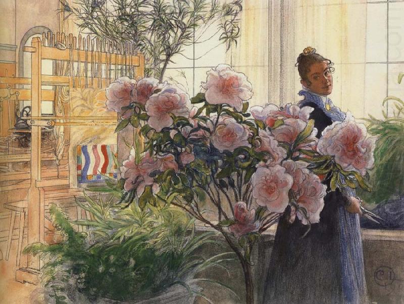 Azalea, Carl Larsson